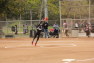 20120329018.jpg
